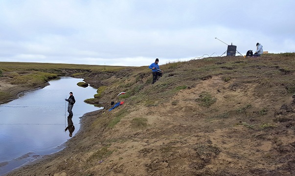Measuring stream discharge, Arctic Coastal Plain